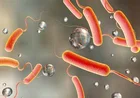 Ghana’s cholera crisis deepens: Death toll rises to 37; cases spread to new districts