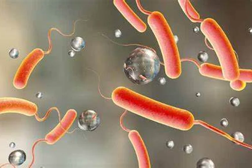 Ghana’s cholera crisis deepens: Death toll rises to 37; cases spread to new districts