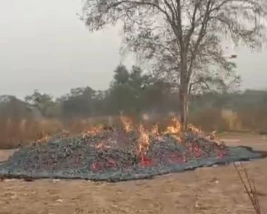 Savannah Regional Minister’s Maize Farm Set Ablaze