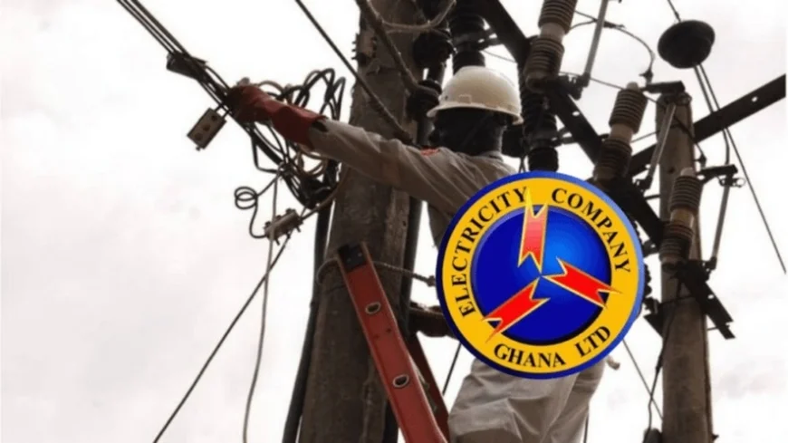 PUWU Opposes ECG Privatisation, Advocates Sustainable Reforms
