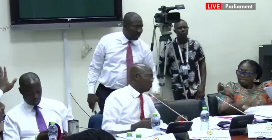 Minority Leader Walks Out of Dr. Ayine’s Vetting Over Bias Allegations
