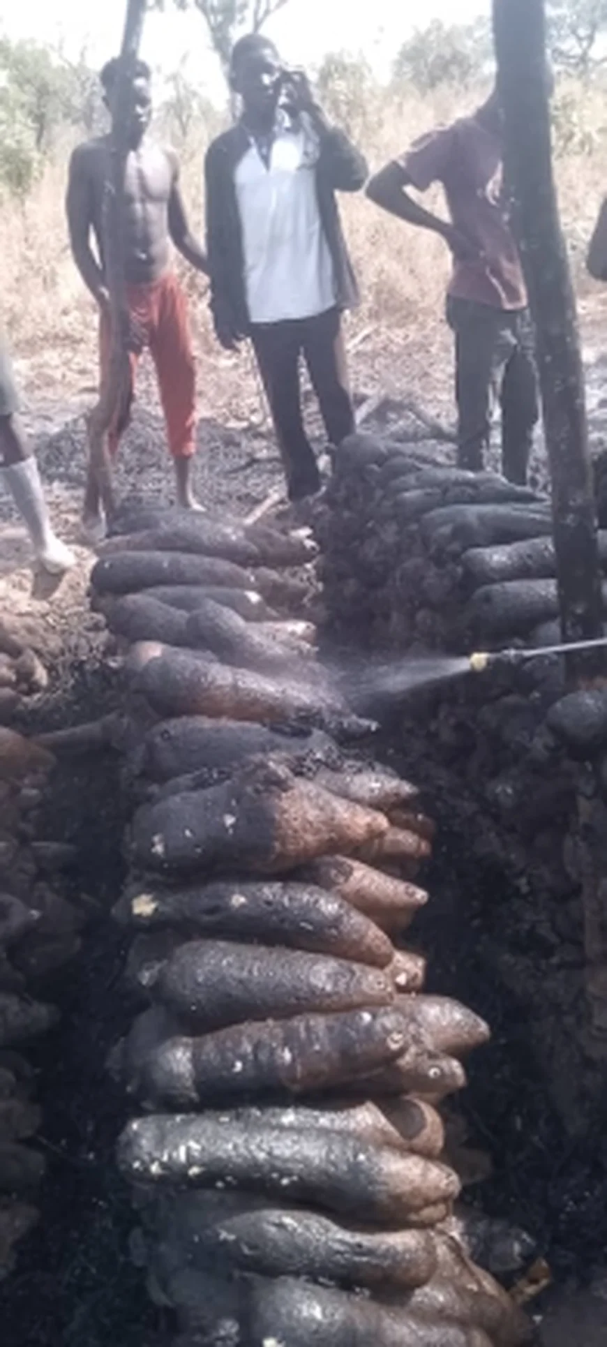 VIDEO: Farmer Seeks Help After Fire Destroys Yam Farm in Northern Ghana