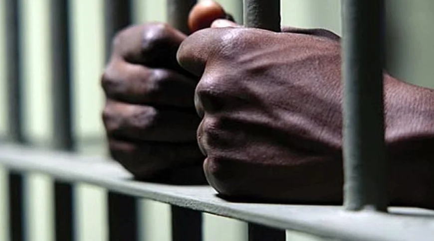 Unemployed Woman Jailed for Theft of GH¢1,200 and Mobile Phone