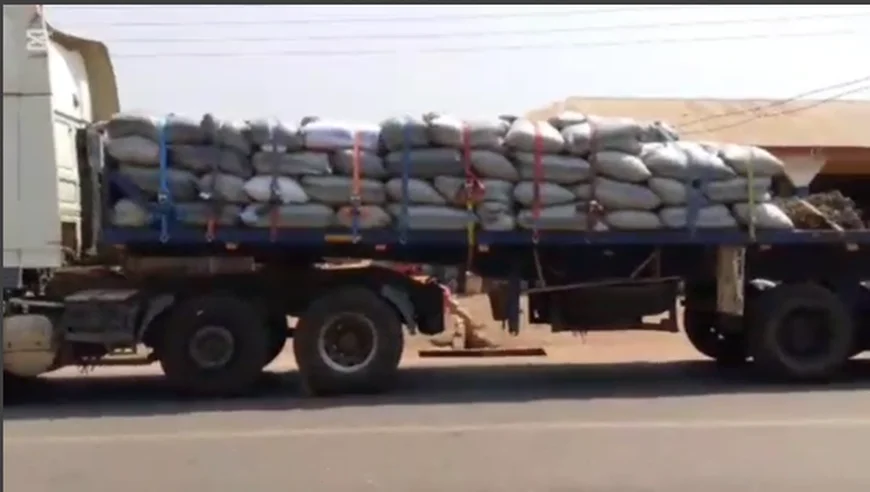 Ghana Police Intercept Truck with Over 150 Bags of Cocoa Beans Bound for Burkina Faso