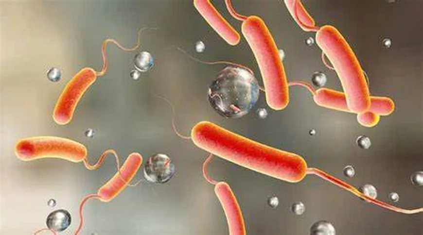 Ghana’s cholera crisis deepens: Death toll rises to 37; cases spread to new districts