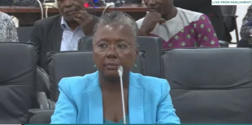 Vetting Chaos: ”I Was Amazed to See a Whole MP Carrying a Chair”—Emelia Arthur