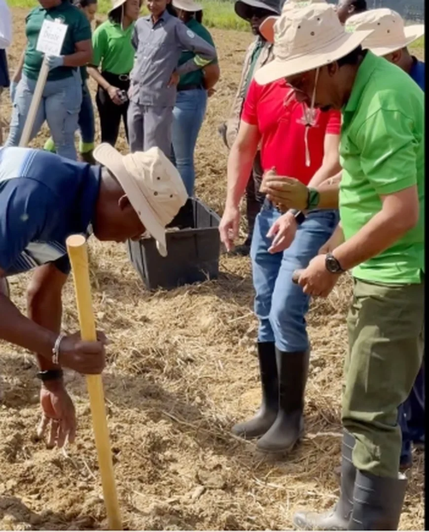 Ghana gifts Trinidad and Tobago 10,000 yam seeds