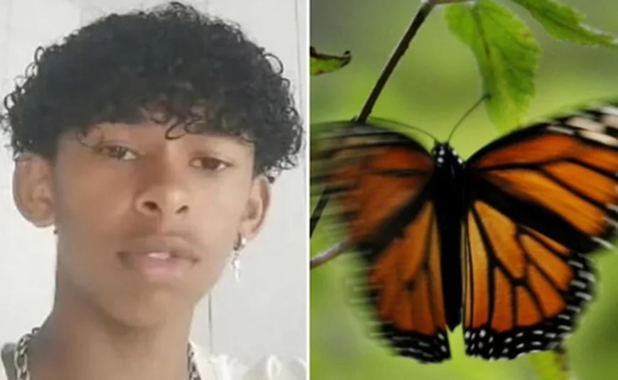 Brazilian Teen Dies After Injecting Butterfly Remains in Bizarre Experiment
