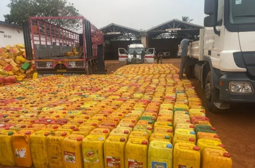 GIS and Customs Intercepted 1115 Gallons of Cocoa Beans at Ave-Havi Border