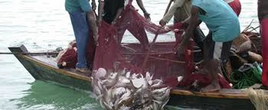 Gov’t Suspends Licences of Four Industrial Trawl Vessels for Illegal Fishing Practices