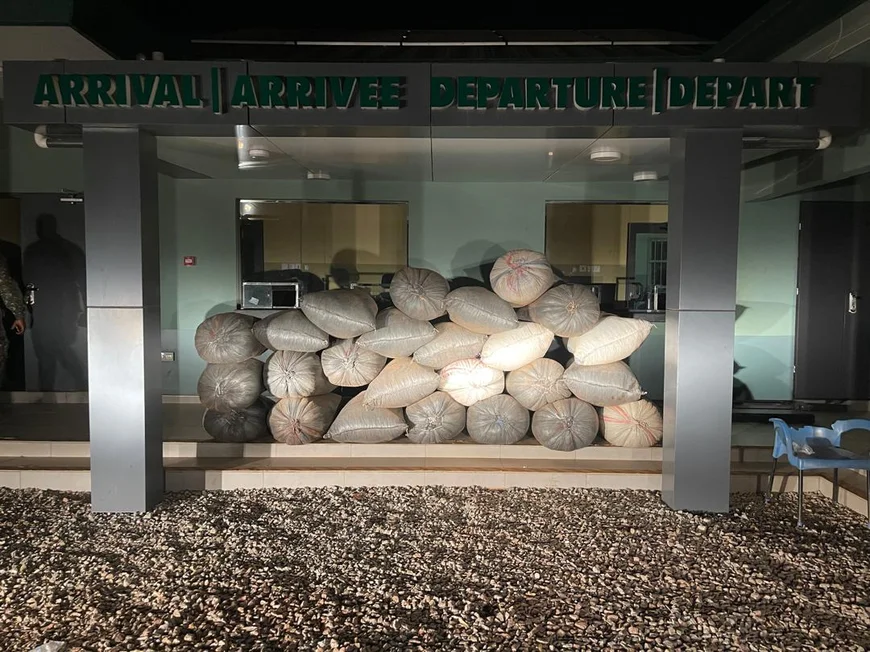 Immigration Officers Foil Cocoa Smuggling Attempt at Bunkpurugu Border