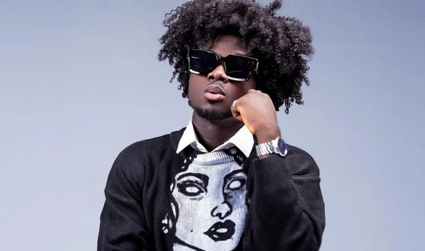“Slow Down Small, My Dollar Reserves All Dey Go Waste” – Kuami Eugene Tells Mahama