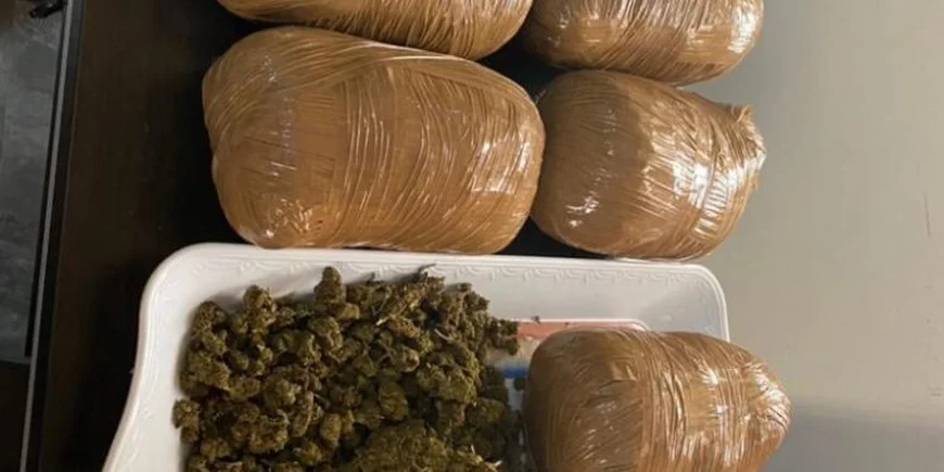 14 Nabbed in Eastern Region Drug Bust; Three Chemical Shops Shut Down