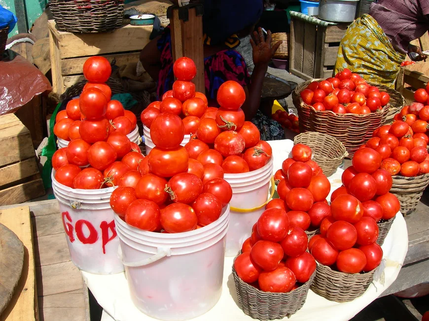 Ghana Spends Over $400 Million Annually on Tomato Imports- Agric Minister Reveals