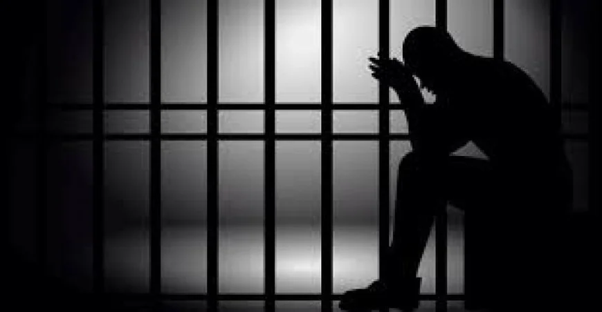 Driver Jailed 5 Years for Stealing GH¢70,000 Toyota Bus at Sarpeiman