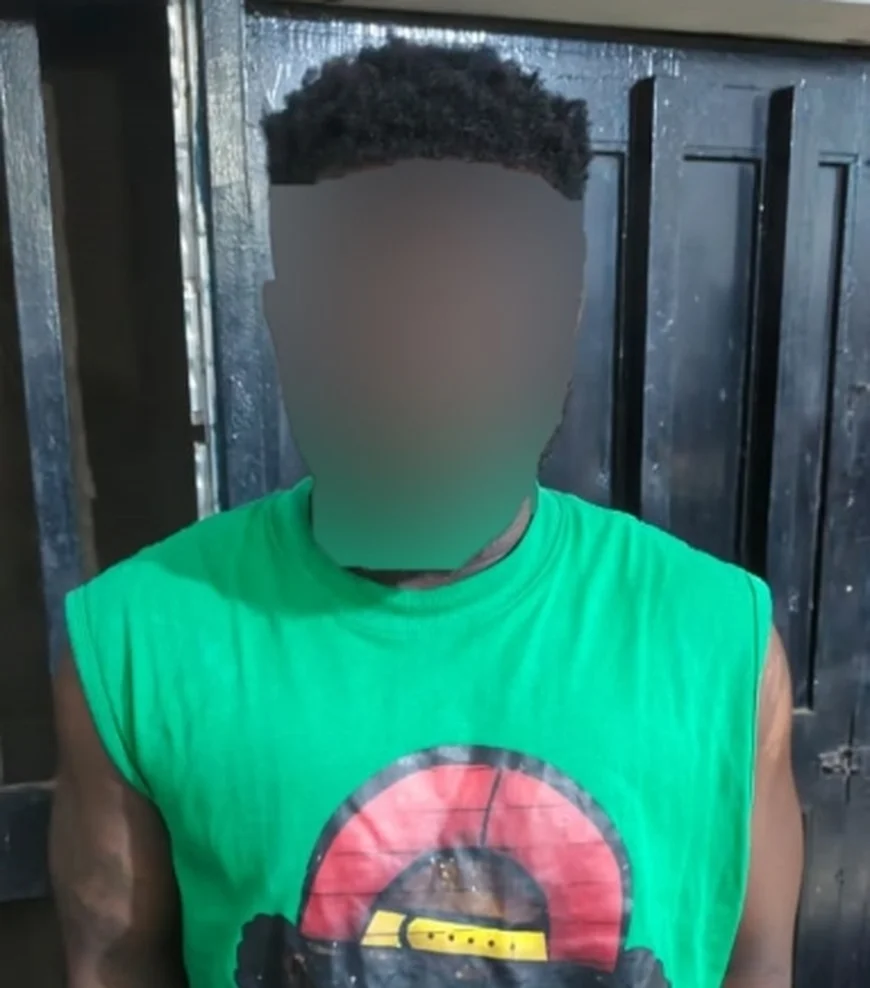 Police Arrest Key Suspect in Deadly Omanjor Palace Attack