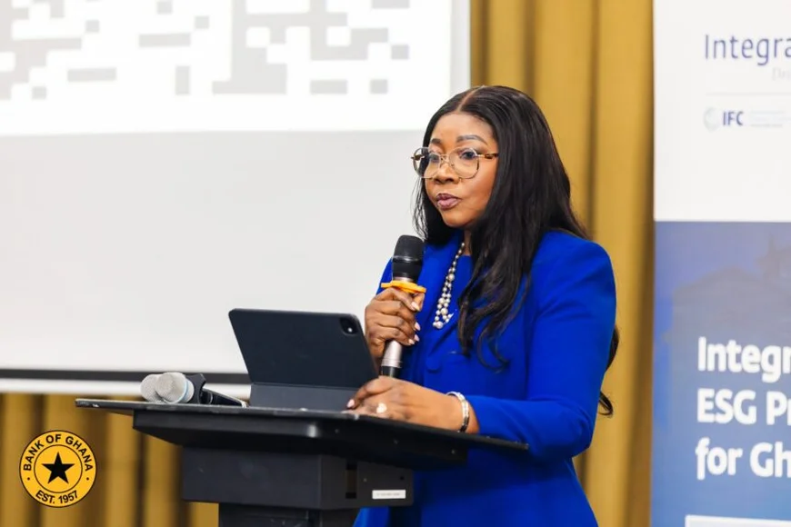 BoG Uncovers Over 400 Illegal Digital Lenders in Crackdown