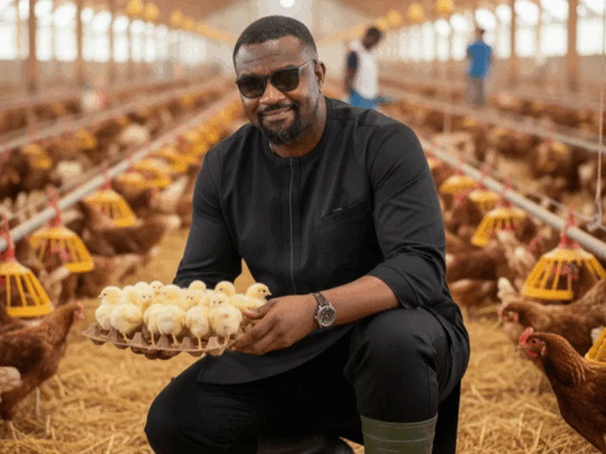 Government to Begin Distribution of Birds Under ‘Nkoko Nkitinkiti’ Poultry Programme Mid-November — John Dumelo Announces
