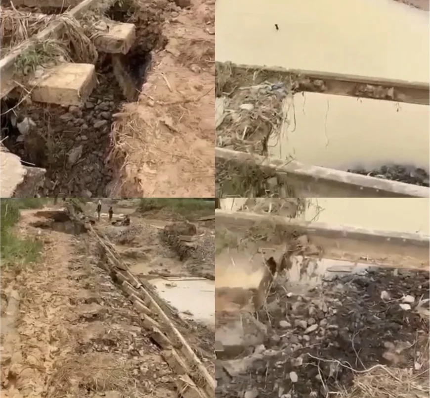 Efo Small Writes: Galamsey, Ants Colony and Our National Collapse