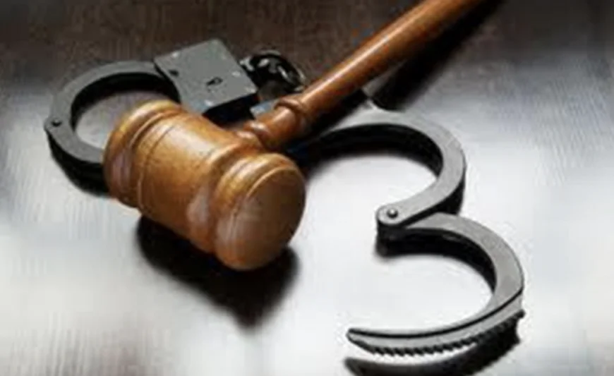 Two Nannies Arrested for Allegedly Drugging Twin Toddlers in East Legon