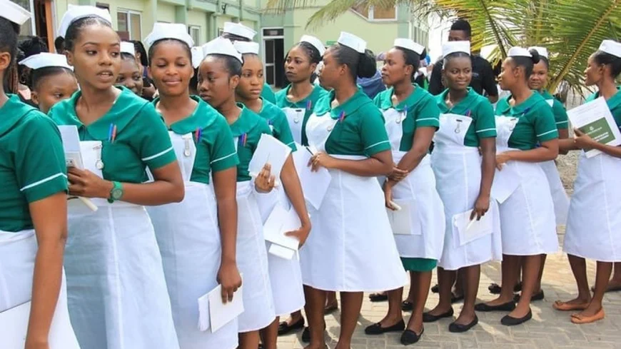 Ghana, Grenada Sign MoU to Deploy Nurses