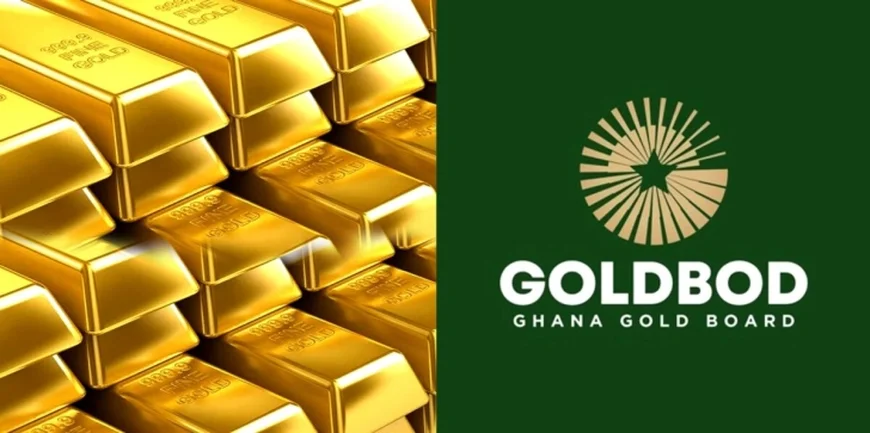 Minority Warns Ghana Could Lose $300m, Demands Probe