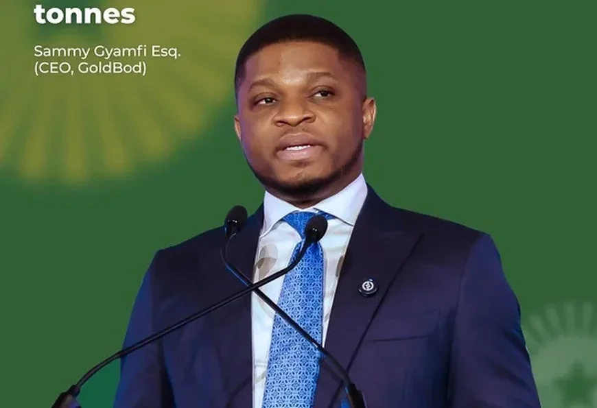 Sammy Gyamfi: Goldbod Made Over GHS960m In 2025; No Losses Recorded;