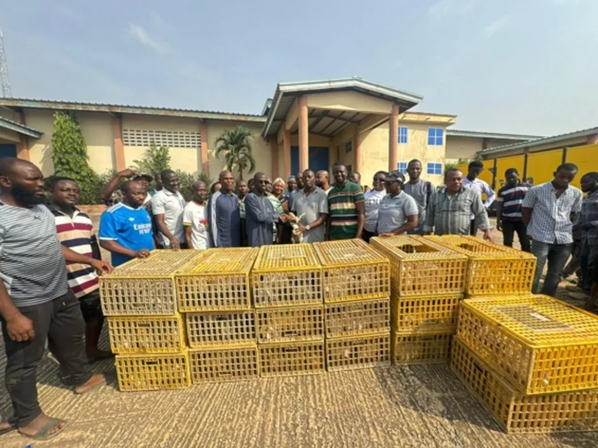 Nearly 8k Birds Distributed To Beneficiaries Under ‘Nkoko Nkitikiti’ Programme aIn Ashanti
