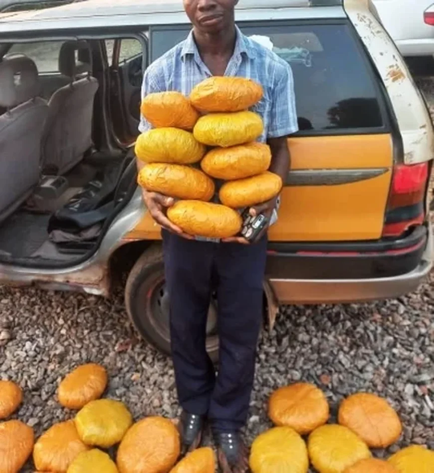 Police Arrest Taxi Driver with 37 Parcels of Suspected Marijuana in Ho West