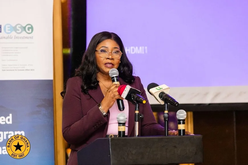 High Transaction Costs Stifling SMEs In Africa – Deputy BoG Governor