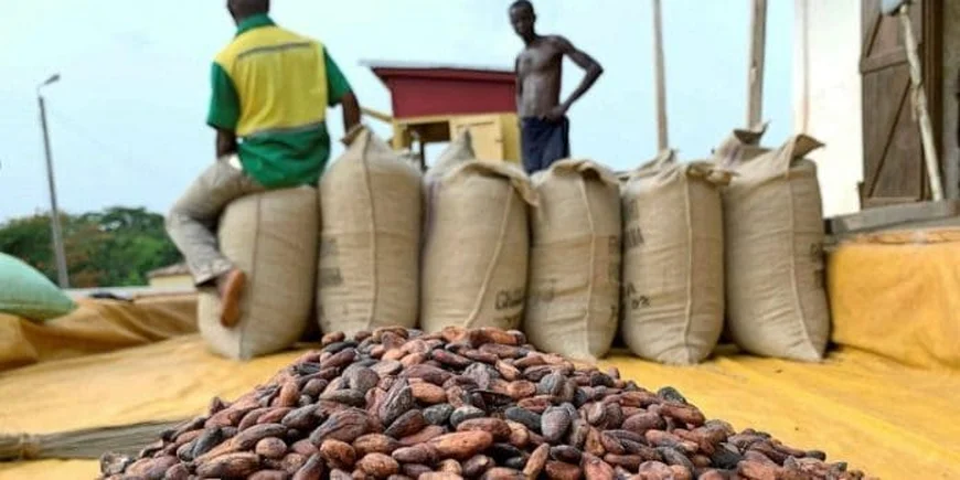 Govt Revives PBC, CPC; Orders 50% Processing of Cocoa Beans Locally – Ato Forson