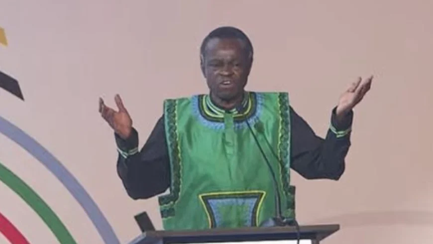 African Leaders Must Shift From Speeches To Action – P.L.O Lumumba
