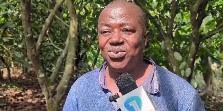 Cocoa Farmers Threaten To Sell Farms to Galamseyers Over Delayed Payments