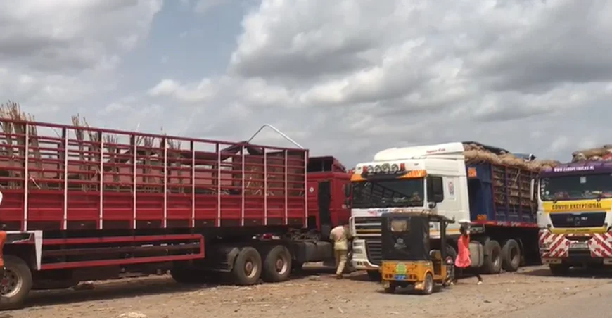 59 Ghanaian Onion Trucks Locked In Nigeria Amid Trade Dispute