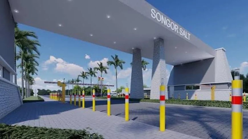 Electrochem Urges MIIF to Stay the Course as Songhor Lagoon Investment Nears Payoff