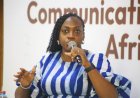 Africans Must Tell Their Own Story of Progress — Nanatunde Davies
