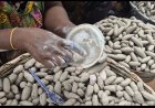 Toxic Metals Found in ‘Shire’ Or 'Shire' Sold in Kumasi Markets – CSIR Study