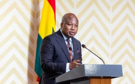 Ghana Officially Launches E-Visa System, Scraps Visa Fees For Africans