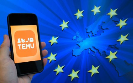 EU Slaps €200m Fine on Temu Over Sale of Unsafe, Illegal Products