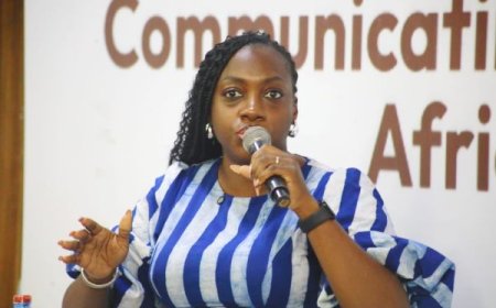 Africans Must Tell Their Own Story of Progress — Nanatunde Davies