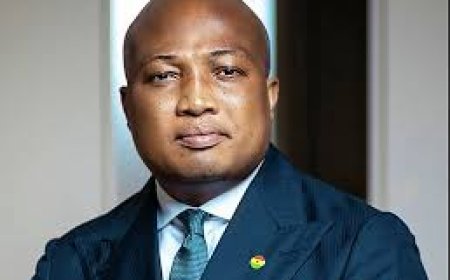 85 Ghanaians Evacuated From Cambodia, 76 More to Return Home – Ablakwa