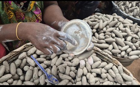 Toxic Metals Found in ‘Shire’ Or 'Shire' Sold in Kumasi Markets – CSIR Study