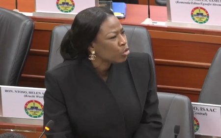 ‘Don’t Tie Doctors’ Hands’ – Deputy Health Minister Defends Clinical Freedom in Anti-LGBTQ Bill Debate