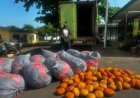 Police Seize 12 Sacks, 80 Parcels Of Suspected Indian Hemp On Tema-Ada Road