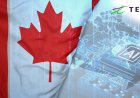 TELUS, Arrcus Launch Sovereign AI Network to Power National-Scale Intelligence