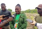 Tema-Ada Forestry Targets 30 Million Trees as 22 Hectares Already Restored Under Tree for Life Drive