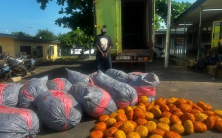 Police Seize 12 Sacks, 80 Parcels Of Suspected Indian Hemp On Tema-Ada Road