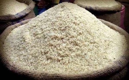Government Maps 515,000 Hectares For Rice Production To Attract Investment, Cut Imports