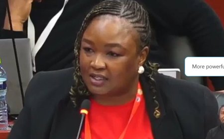 South Africa, Mozambique Reject Adoption Of African Family Values Charter in Accra