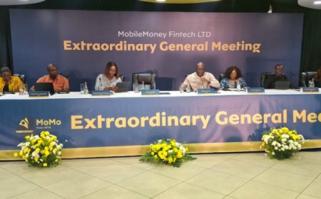 Mobile Money Fintech Shareholders Approve Q1 Dividend At Extraordinary General Meeting